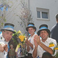 Bild 31