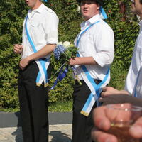 Bild 88