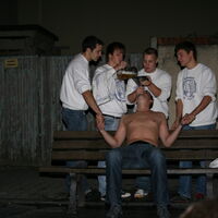 Bild 183