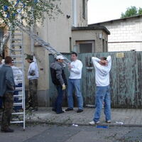 Bild 50
