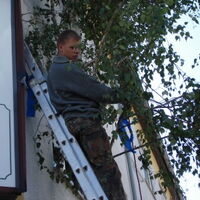 Bild 112