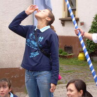 Bild 47