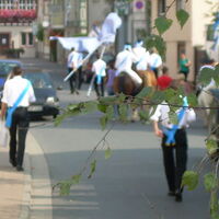Bild 84
