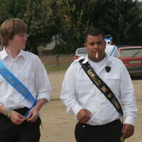 Bild 17