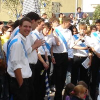Bild 7