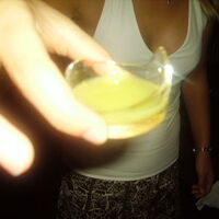 Bild 64