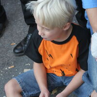 Bild 59