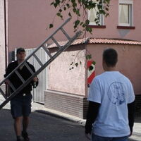 Bild 103