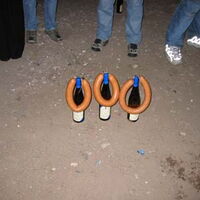 Bild 31