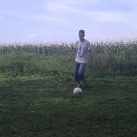 Bild 36