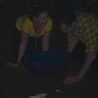 Bild 44