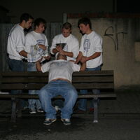 Bild 202