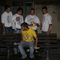 Bild 241