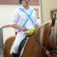 Bild 121
