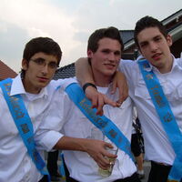 Bild 196