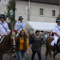 Bild 29
