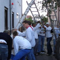 Bild 66