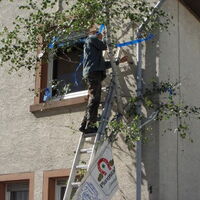 Bild 101