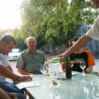 Bild 44