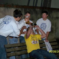 Bild 62