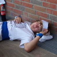 Bild 87