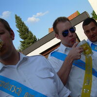 Bild 59