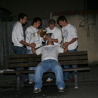 Bild 197