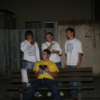 Bild 245