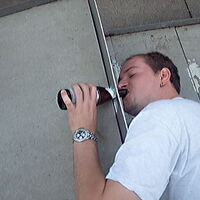 Bild 63