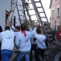 Bild 71