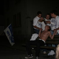 Bild 120