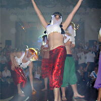 Bild 16