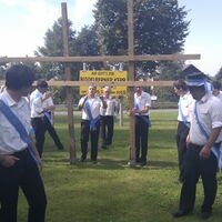 Bild 195