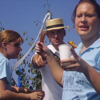 Bild 7