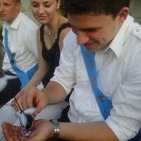 Bild 29