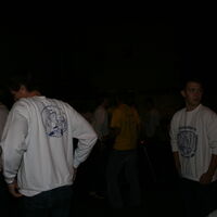 Bild 259