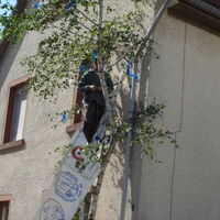 Bild 99