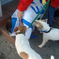 Bild 13
