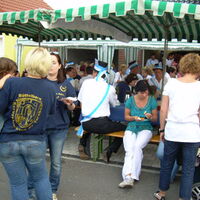 Bild 198
