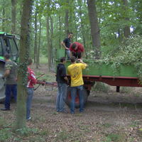 Bild 24