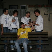 Bild 240
