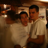 Bild 260