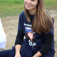 Bild 17