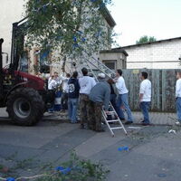 Bild 43