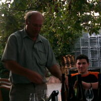 Bild 29