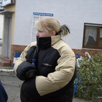 Bild 15