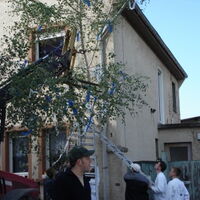 Bild 47