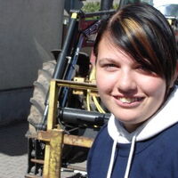 Bild 91