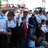 Bild 66