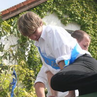 Bild 37